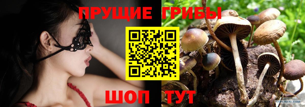 Галлюциногенные грибы прущие грибы Баксан