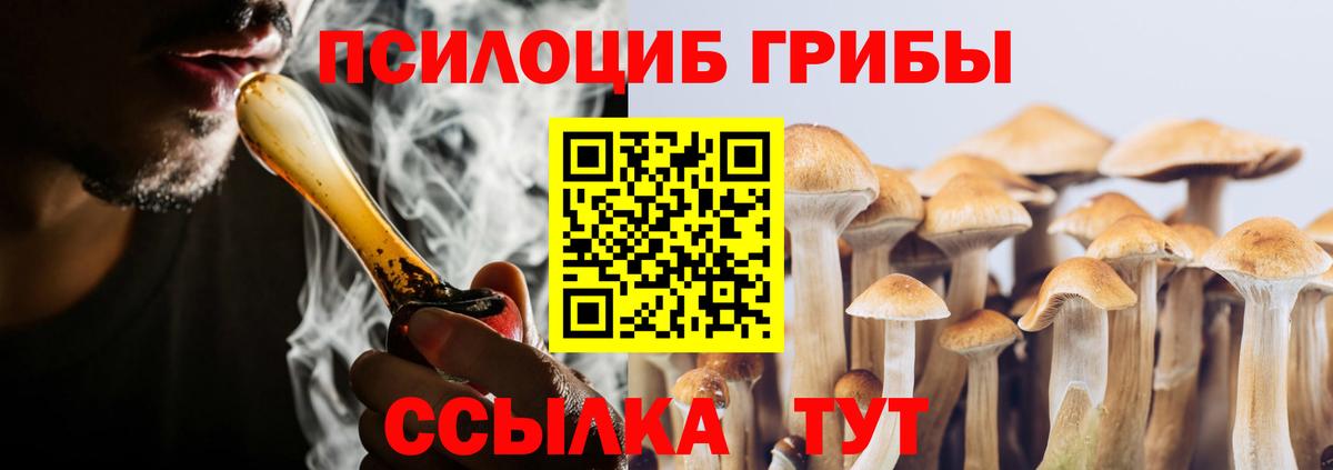 Галлюциногенные грибы мицелий  дарнет шоп  Баксан  Вход с VPN 